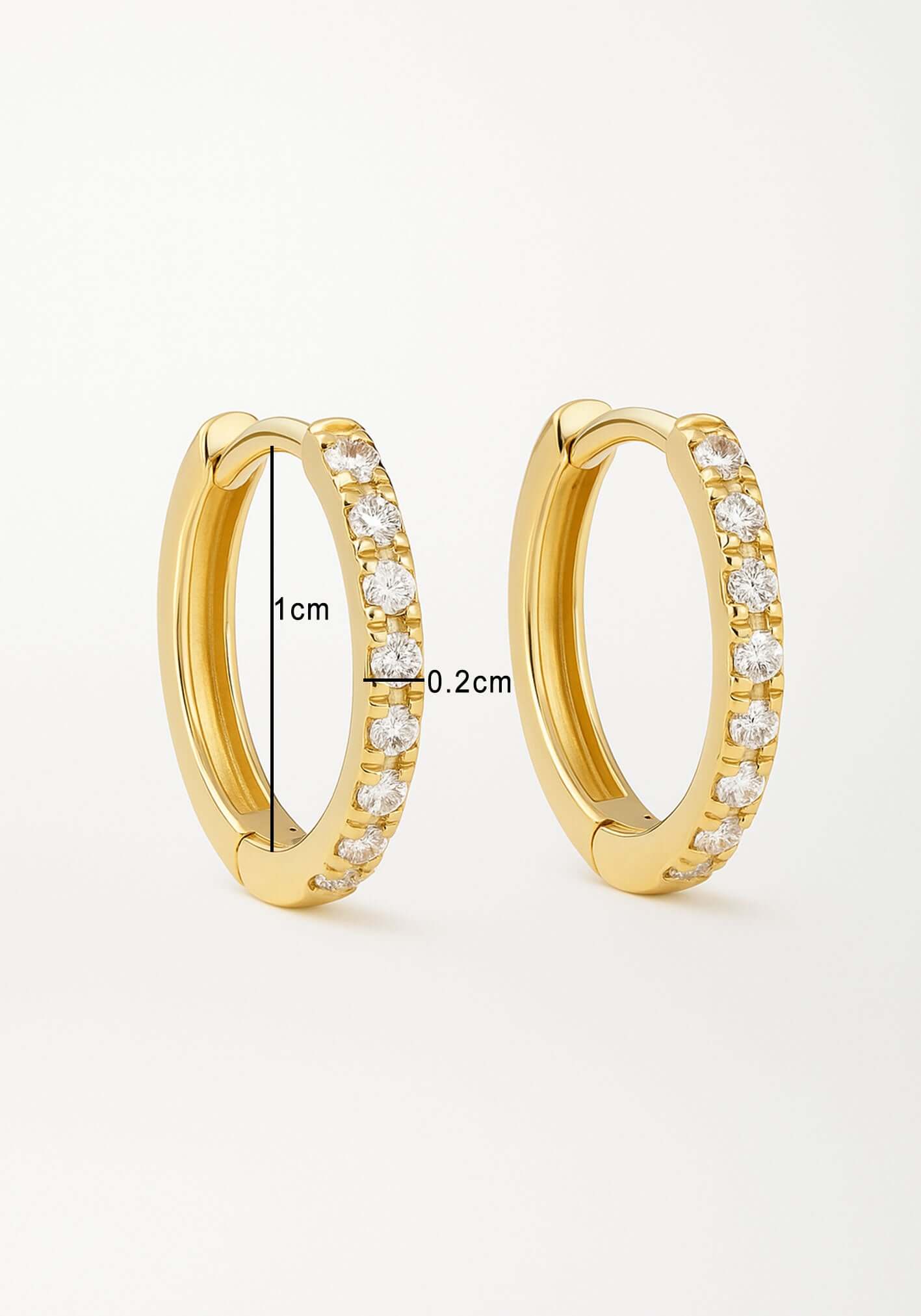 Venus Hoop Earrings