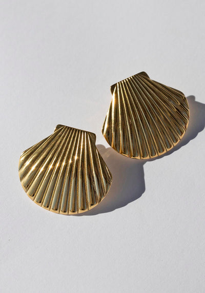 Cockle Shell Gold Earrings