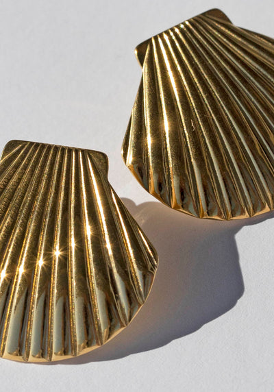 Cockle Shell Gold Earrings