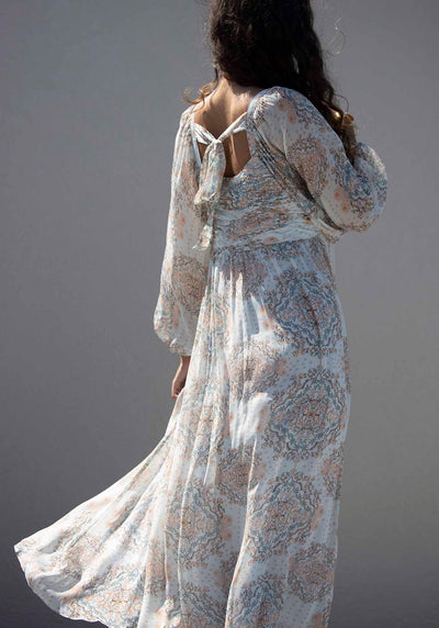 Prodigy Print Sleeve Maxi Dress